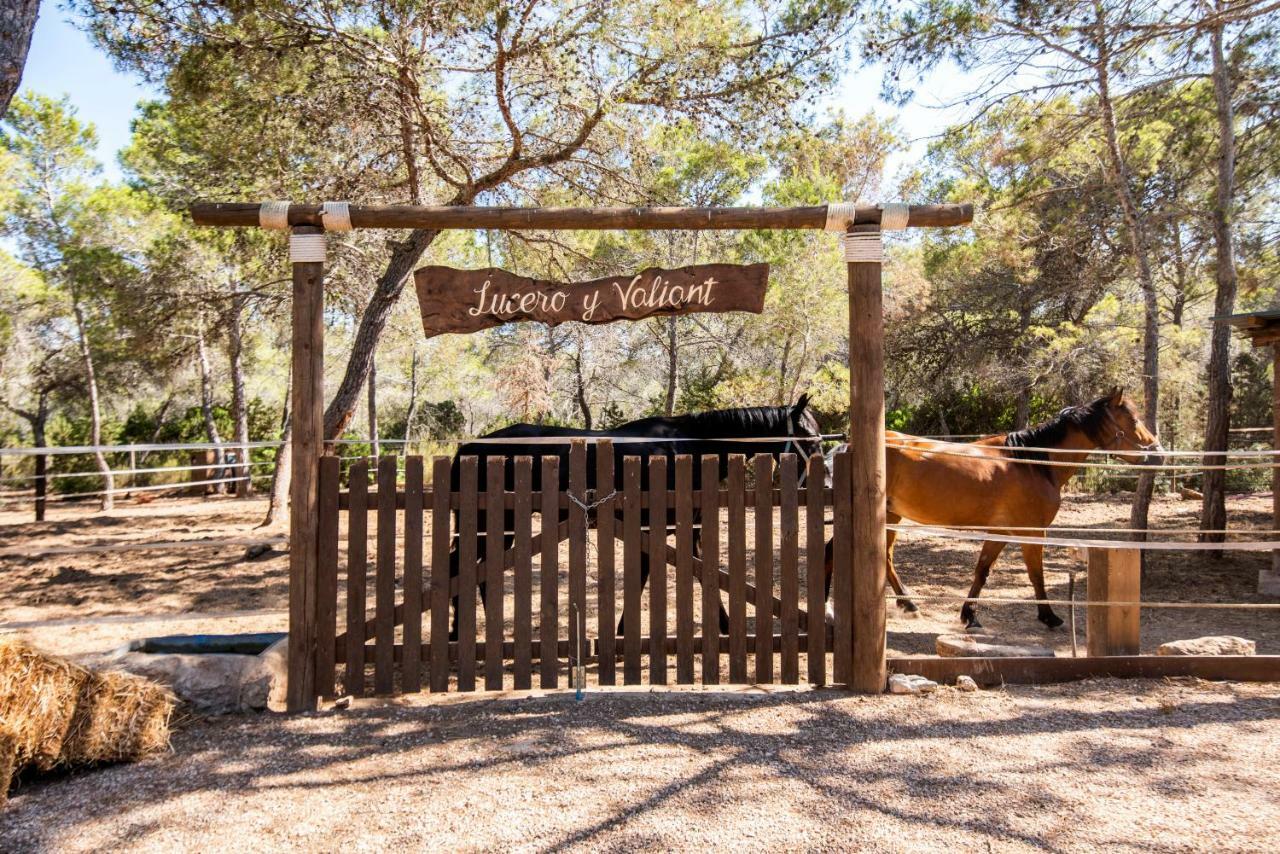 Es Cana Hostal Cala Boix מראה חיצוני תמונה
